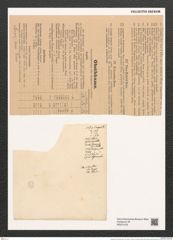 Cymatosira lorenziana Grun. (de-Toni-Nr.: Genus 76, Species 2805) Zeichnungen Sammlung Grunow (NHMW-BOT-W0374153)